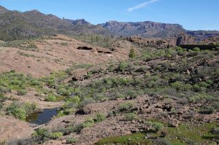 GC-Trek (Presa de Las Ninas-Soria) 2021-026.JPG